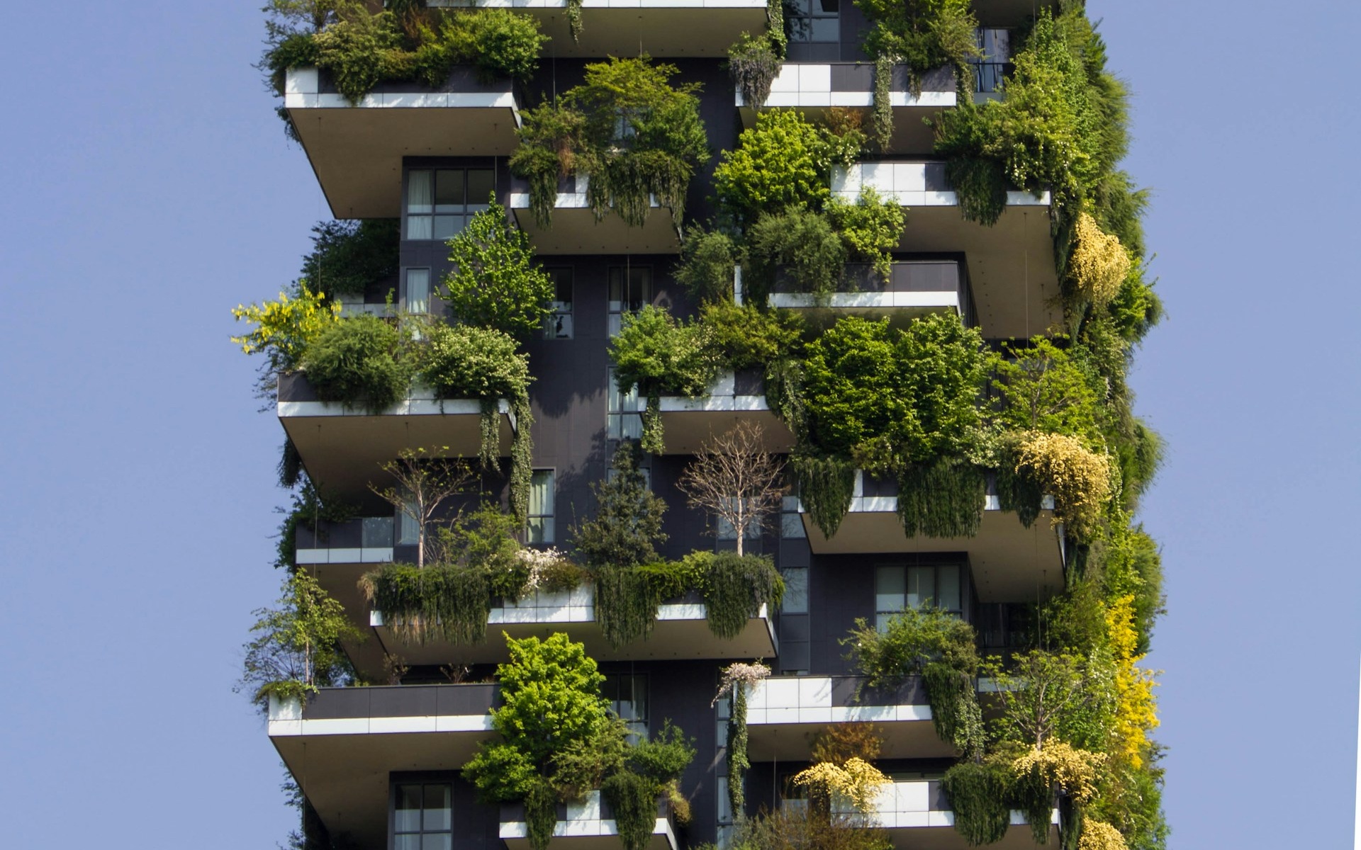 Sustainable Family Residence